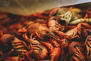 a-ranking-of-seafood-6