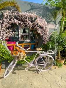 Alice Garden Restaurant