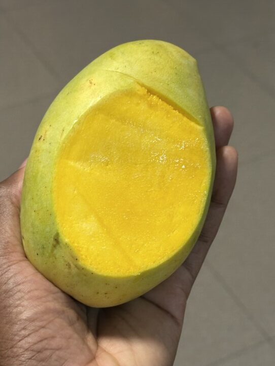 Mango Species In Nigeria