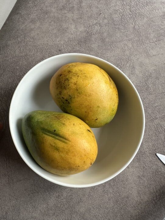 Palaba Mango