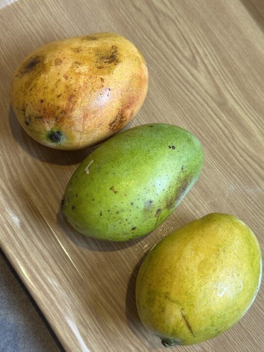 Sherry Mango season